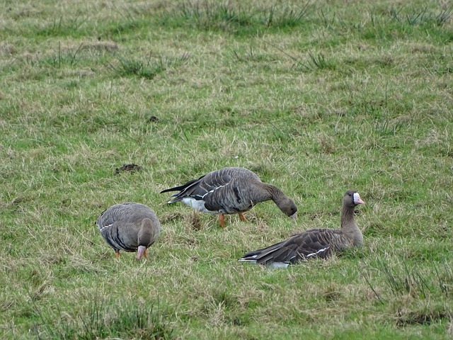 建议携带舒 建议携带舒